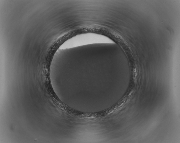 X0000113060822200909250907