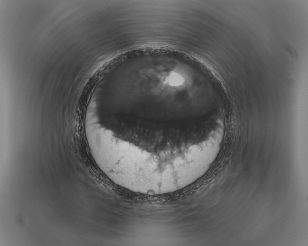 X0000113060823200909250907