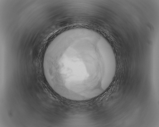 X0000113060824200909250907