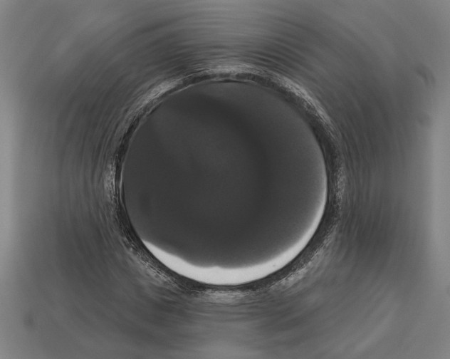 X0000113060825200909250907