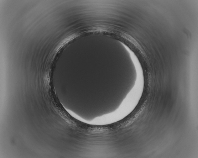 X0000113060826200909250907