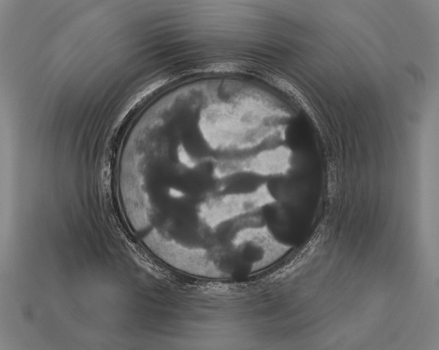 X0000113060827200909250907