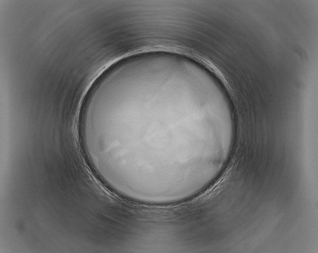 X0000113060828200909250907