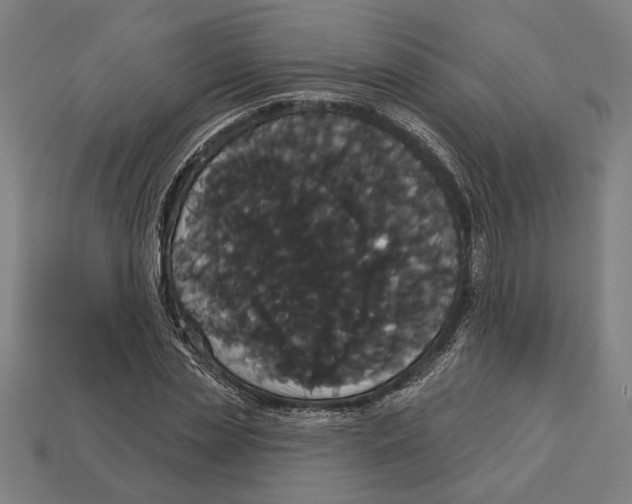 X0000113060829200909250907