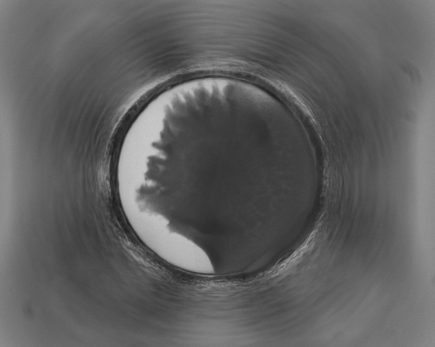 X0000113060830200909250907