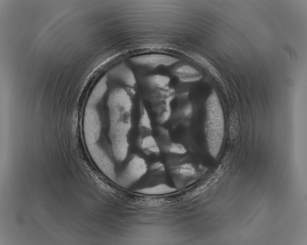 X0000113060831200909250907