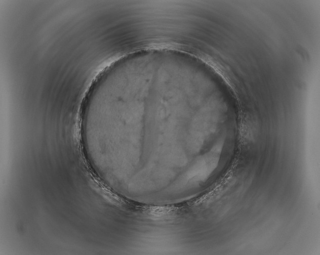 X0000113060832200909250907