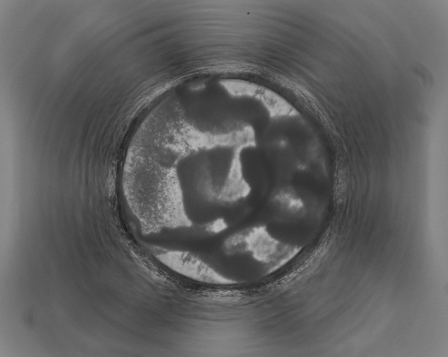 X0000113060833200909250907