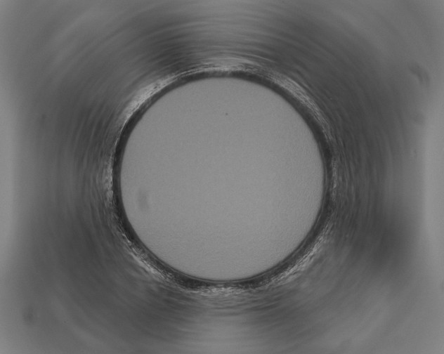 X0000113060834200909250907