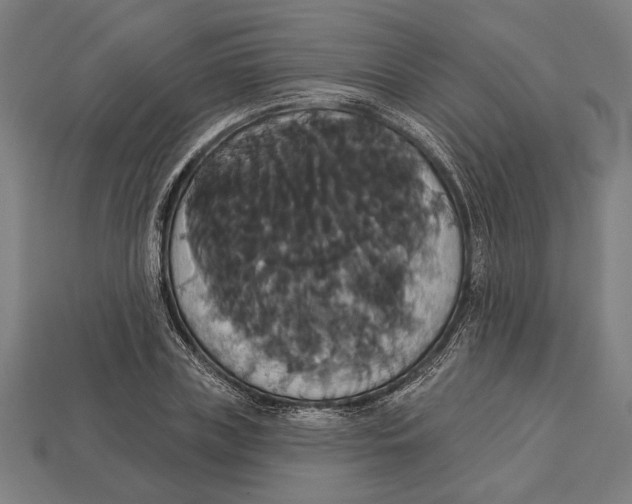 X0000113060835200909250907