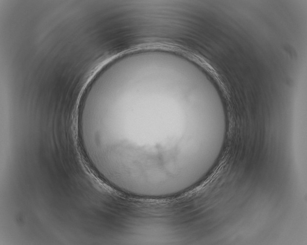 X0000113060836200909250907