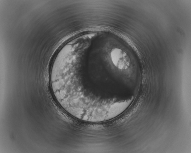 X0000113060837200909250907