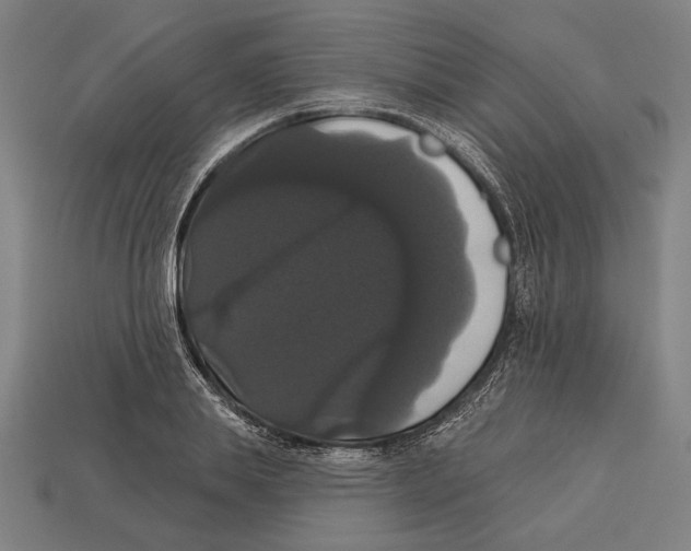 X0000113060839200909250907