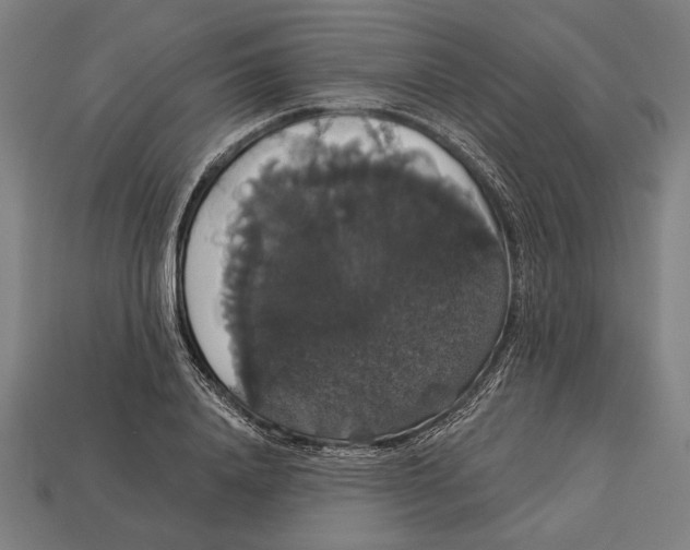 X0000113060840200909250907