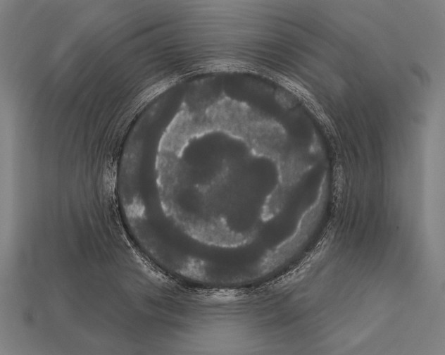 X0000113060841200909250907