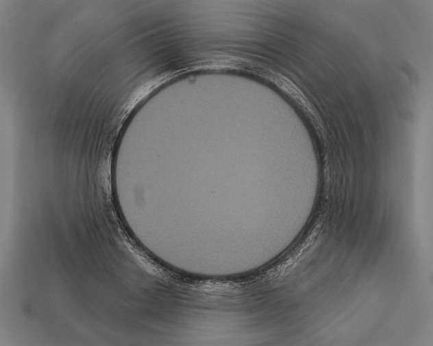 X0000113060842200909250907