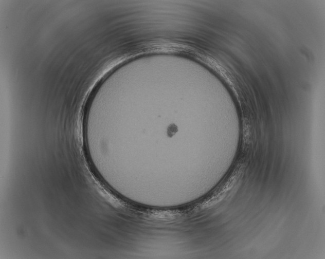 X0000113060843200909250907