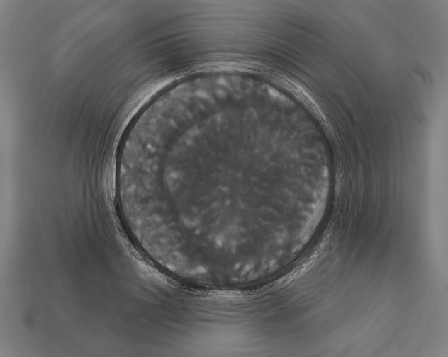 X0000113060844200909250907