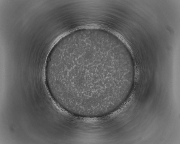 X0000113060845200909250907