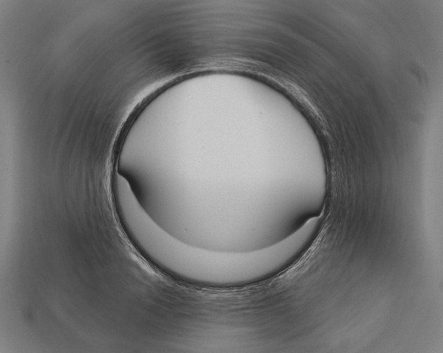 X0000113060846200909250907