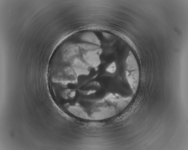 X0000113060847200909250907