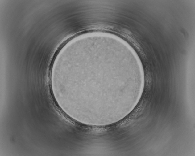 X0000113060848200909250907