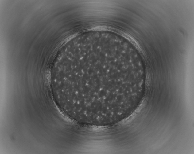 X0000113060849200909250907