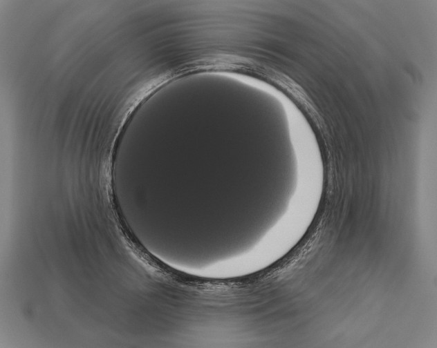 X0000113060850200909250907