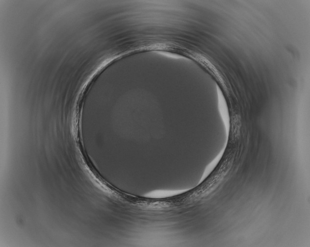 X0000113060851200909250907