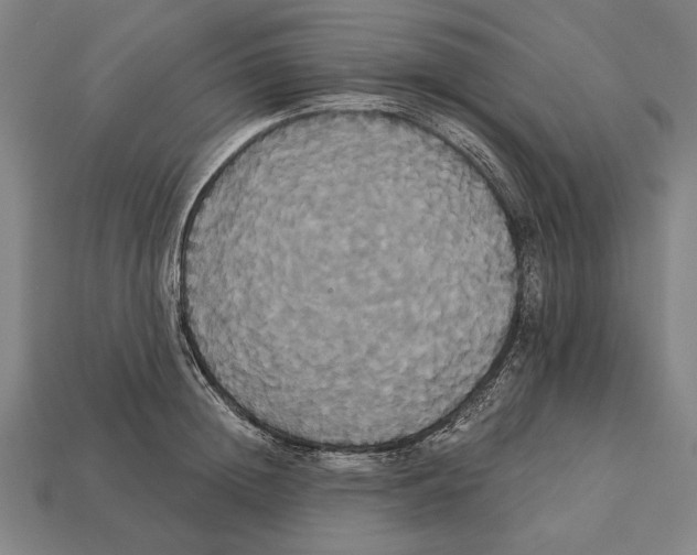 X0000113060852200909250907