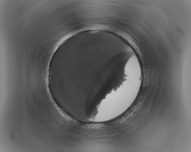 X0000113060853200909250907