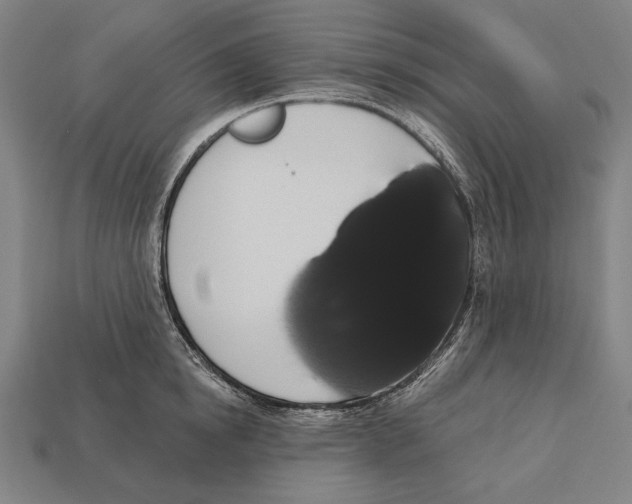 X0000113060854200909250907