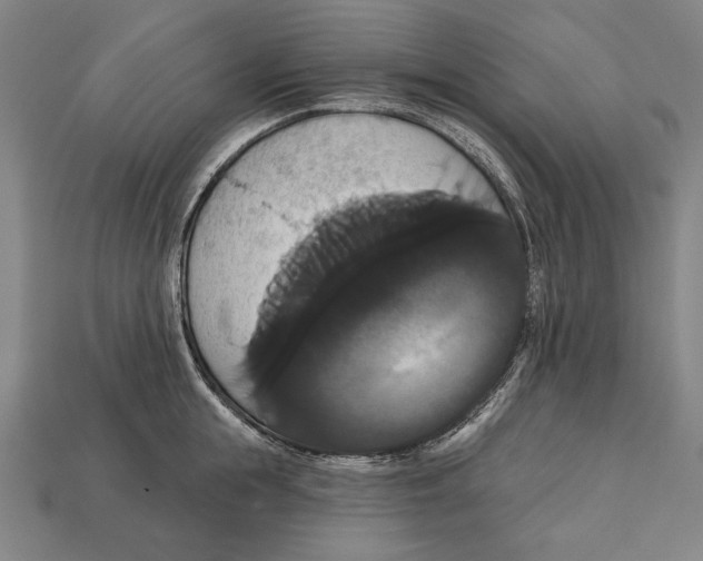 X0000113060855200909250907