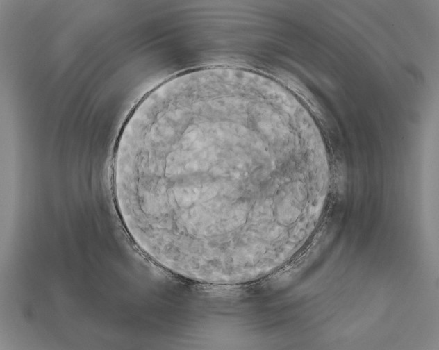 X0000113060856200909250907