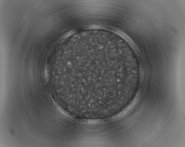 X0000113060857200909250907