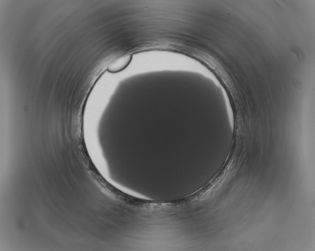 X0000113060858200909250907