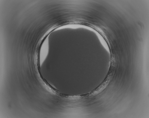 X0000113060859200909250907