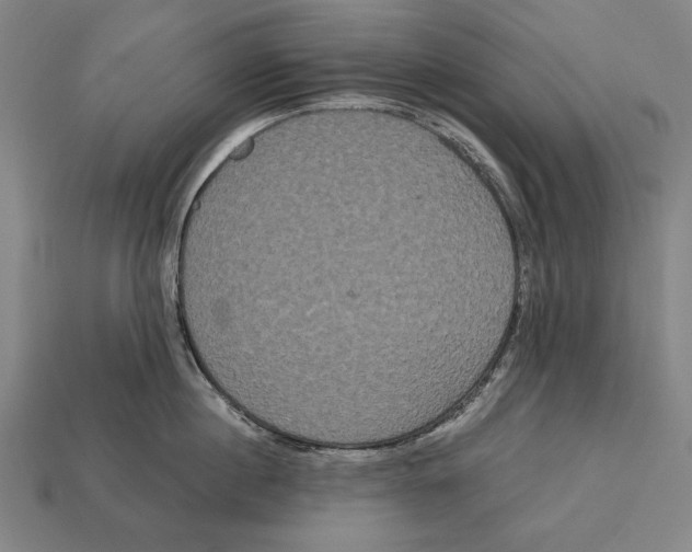 X0000113060860200909250907