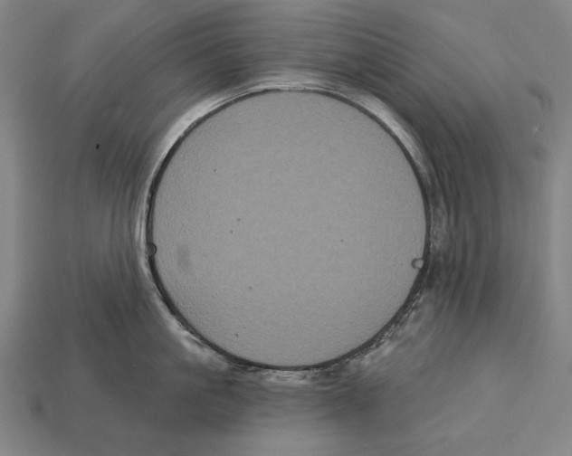 X0000113060861200909250907