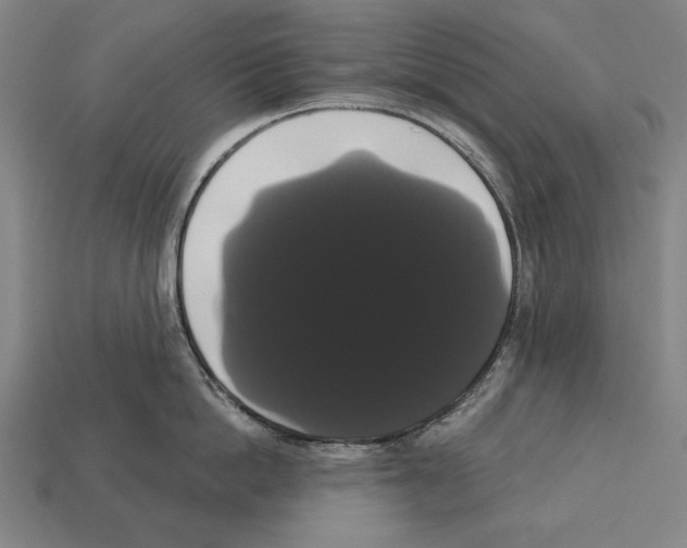 X0000113060862200909250907