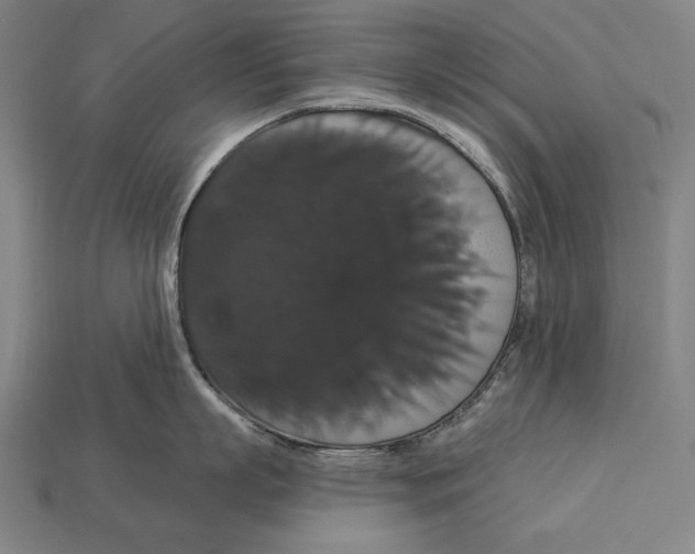 X0000113060863200909250907