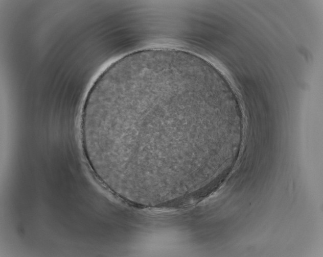 X0000113060864200909250907