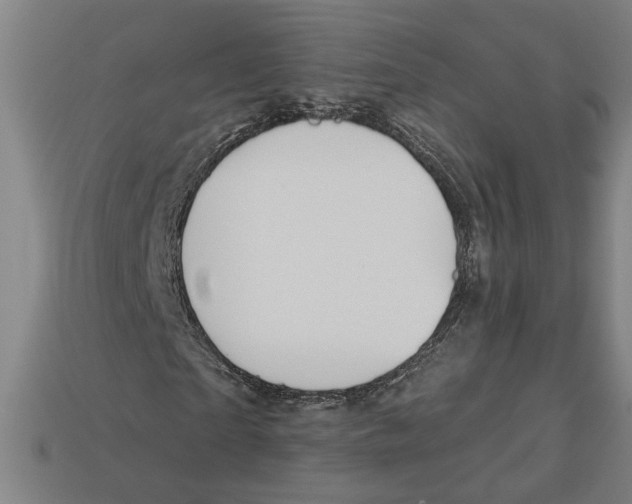 X0000113060865200909250907