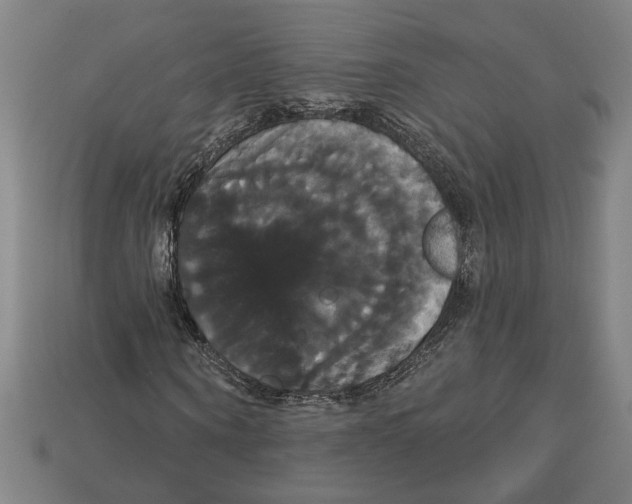 X0000113060866200909250907