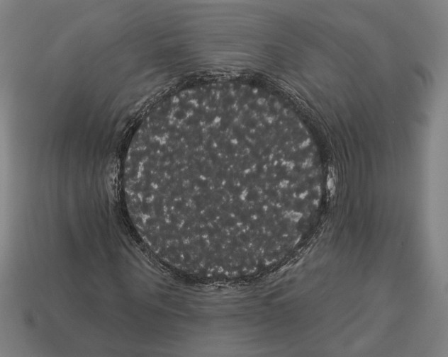 X0000113060867200909250907