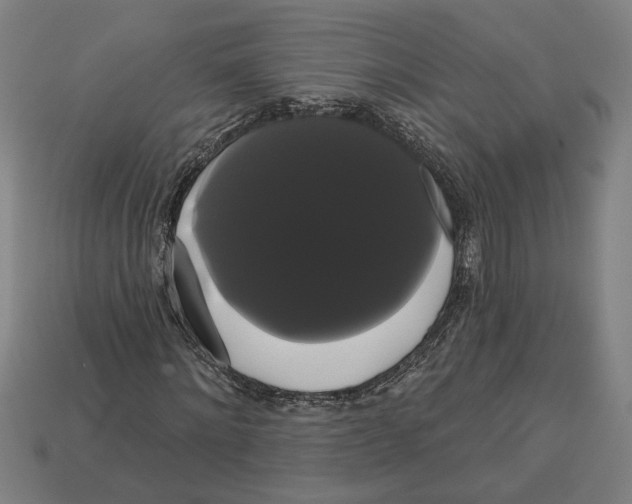 X0000113060868200909250907