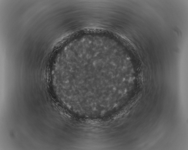 X0000113060870200909250907