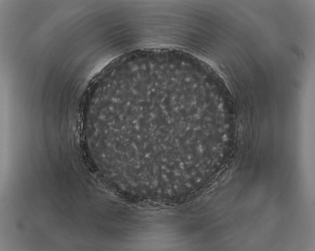 X0000113060871200909250907