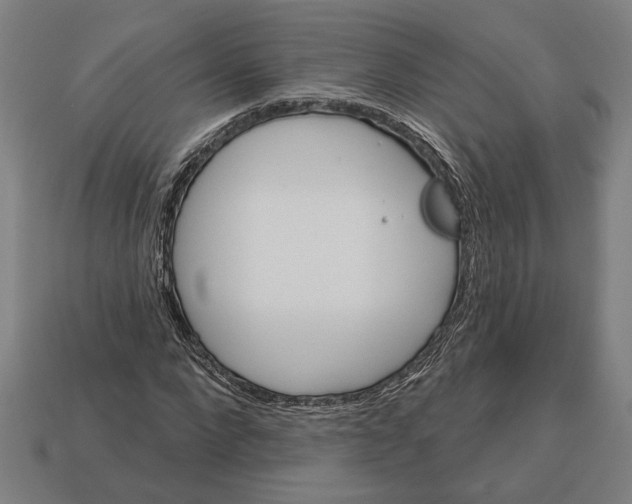 X0000113060872200909250907