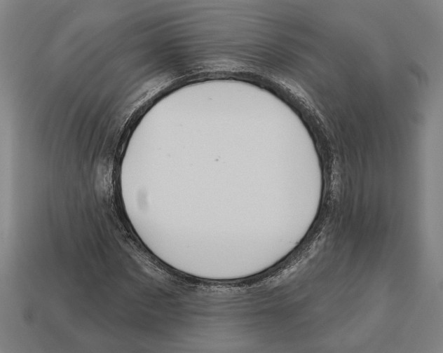 X0000113060873200909250907